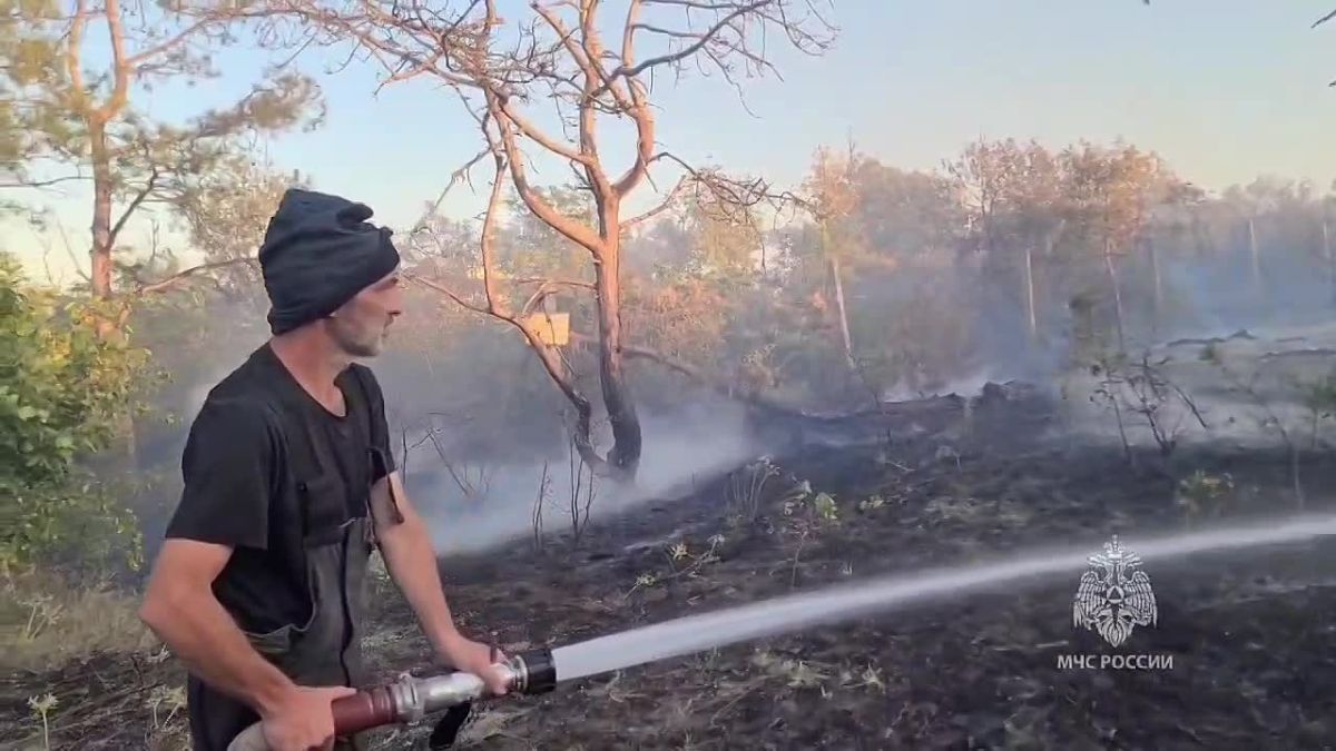 Пожар на 70 гектарах тушат на горе Тепе-Оба