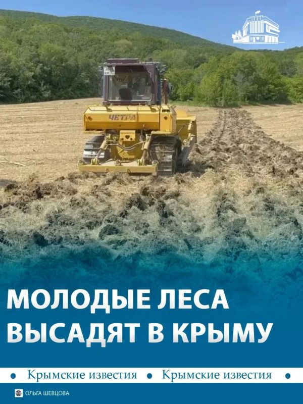 В Крыму готовят почву для высадки новых лесов