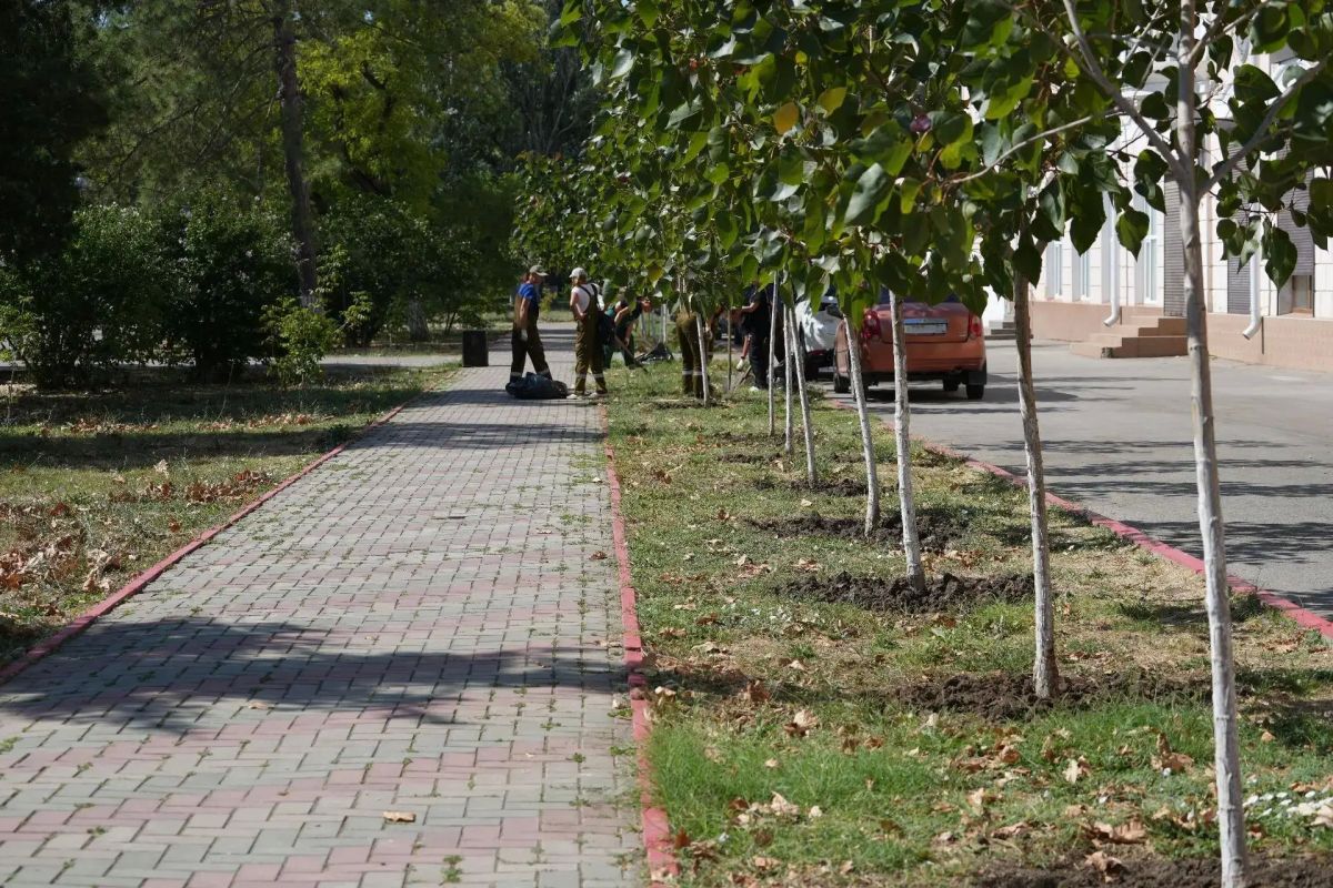 Рабочую неделю сотрудники Службы городского хозяйства начали с ухода за молодыми деревьями в сквере им. Тараса Шевченко. Краснолистные тополя были высажены в 2025 году в честь Дня освобождения Керчи от немецко-фашистских... Рабочую неделю сотрудники Службы городского хозяйства начали с ухода за молодыми деревьями в сквере им. Тараса Шевченко. Краснолистные тополя были высажены в 2025 году в честь Дня освобождения Керчи от немецко-фашистских...