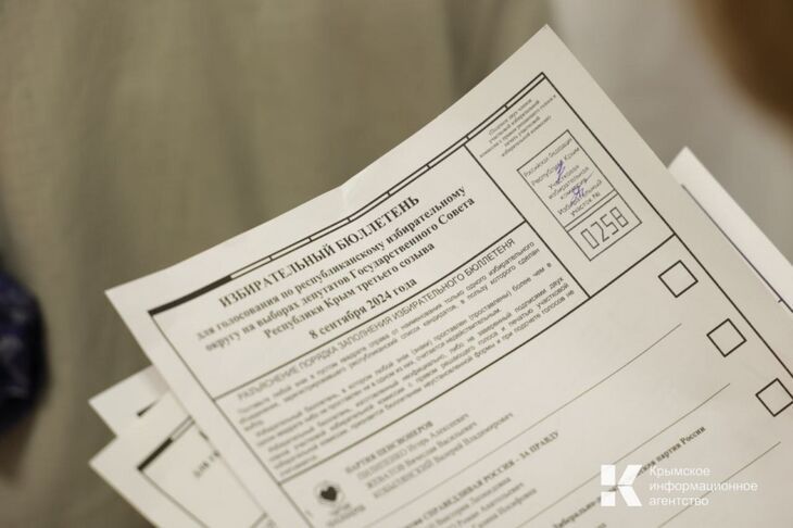 Свыше 13 тысяч крымчан подали заявления на участие в дистанционном голосовании