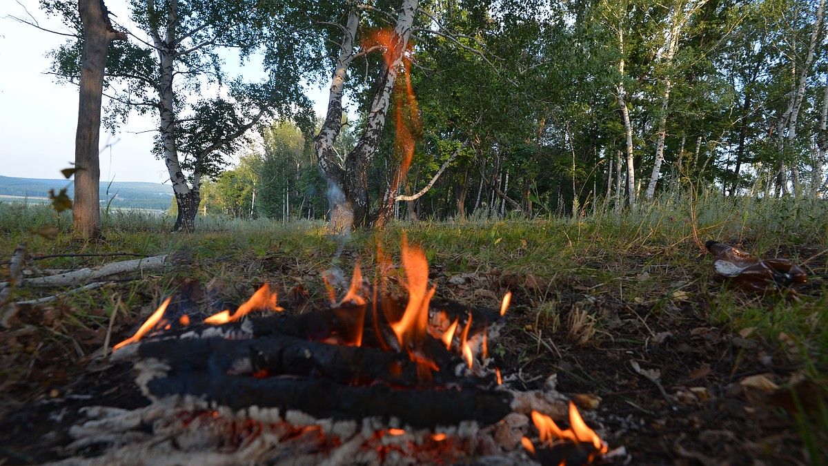 Свыше 100 пожаров произошло в Крыму за неделю