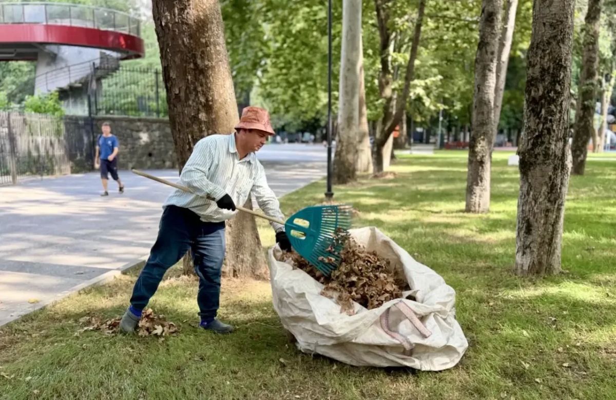 До календарной осени ещё две недели, а в парках и скверах Симферополя уже началась активная уборка палой листвы