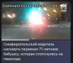 �������� �������� ������� 71-������ ����������� � ������ �����������