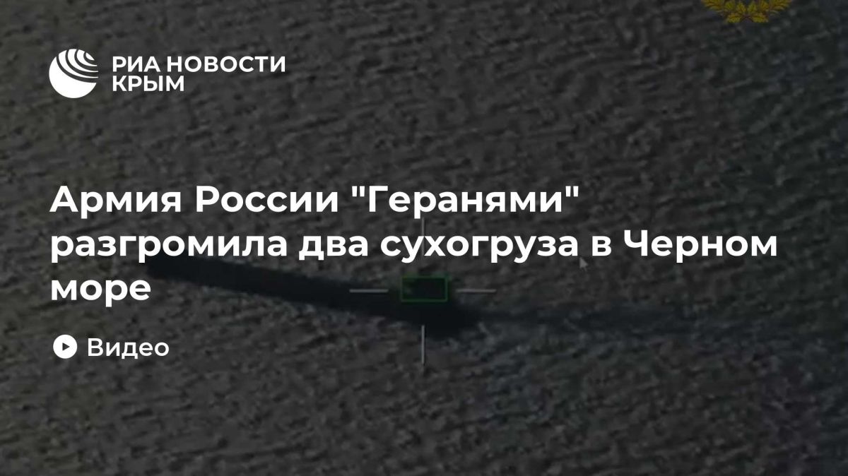 Армия России "Геранями" разгромила два сухогруза в Черном море