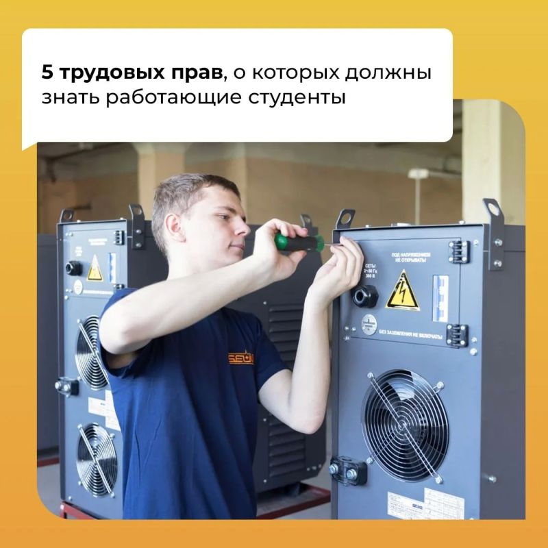 Шпаргалка для студентов по часто встречающимся трудовым ситуациям