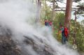 Площадь лесного пожара в Ялте предварительно выросла до шести гектаров