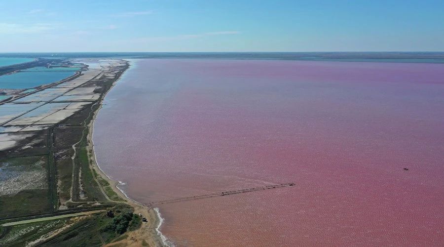 В Евпатории запустили новую экскурсию-фототур к знаменитому розовому озеру