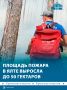 До 50 гектаров выросла площадь пожара в Ялте