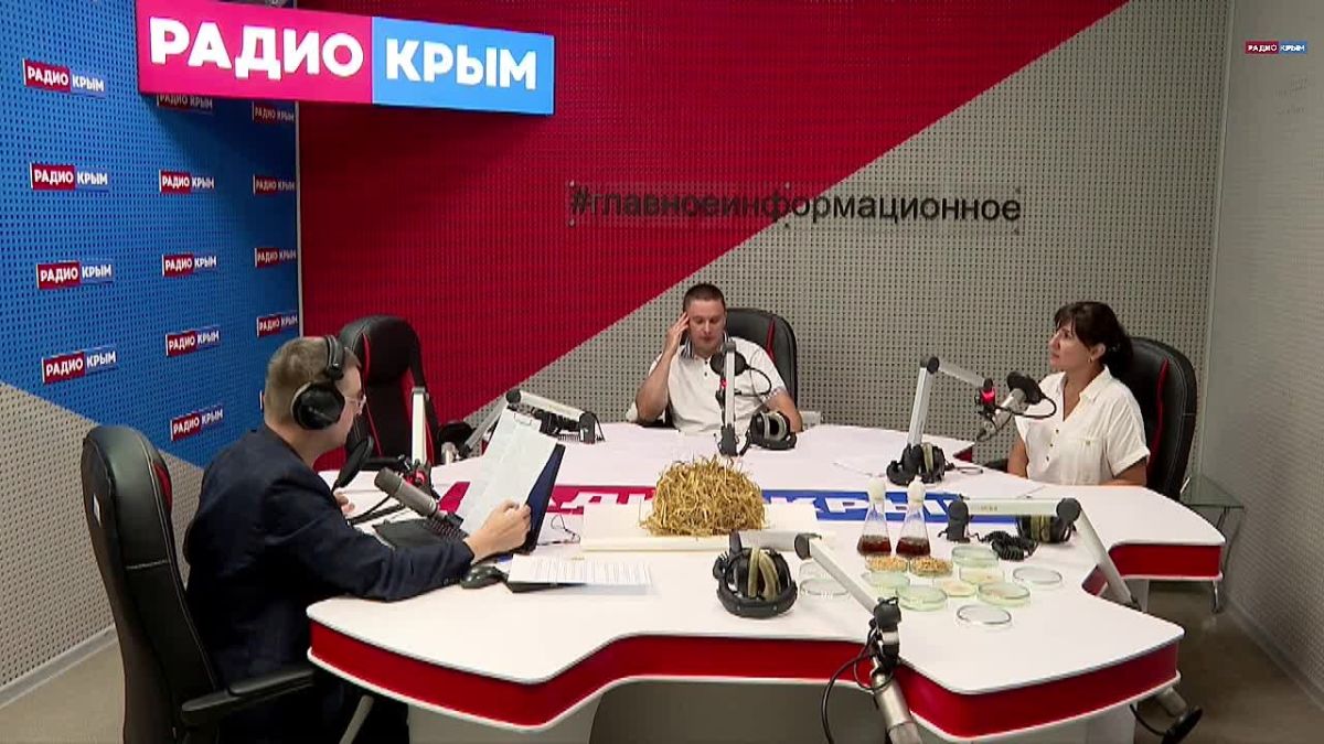 Кандидат сельскохозяйственных наук оценил экономический эффект от использования разрабатываемого в Крыму измельчителя рисовой соломы