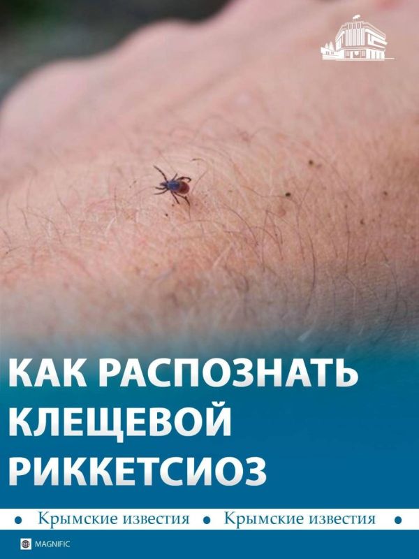 В Крыму зафиксировали 19 случаев марсельской лихорадки – болезни, которую переносят пять видов членистоногих