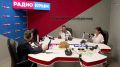 Кандидат сельскохозяйственных наук оценил экономический эффект от использования разрабатываемого в Крыму измельчителя рисовой соломы