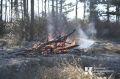 В Ялте продолжают тушить лесной пожар