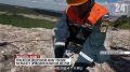 ��������� ��� ���������� ���� ������ �� ����� �� ������ � �������������� ������