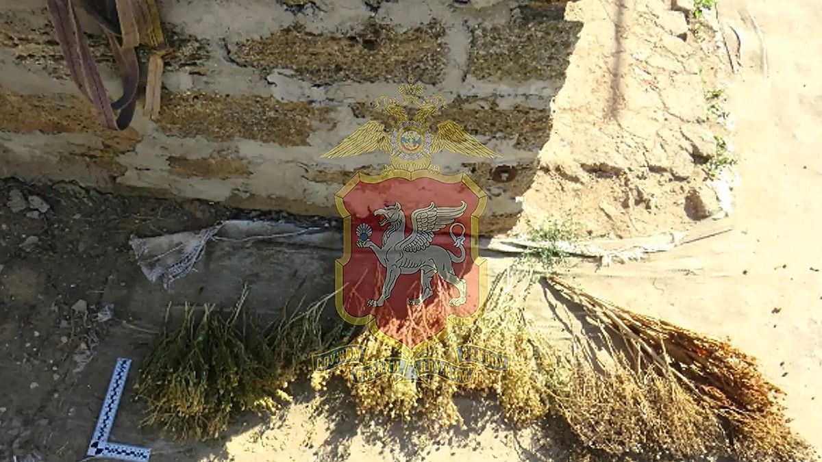 Лечилась от простуды: крымчанка хранила полкило наркотического растения