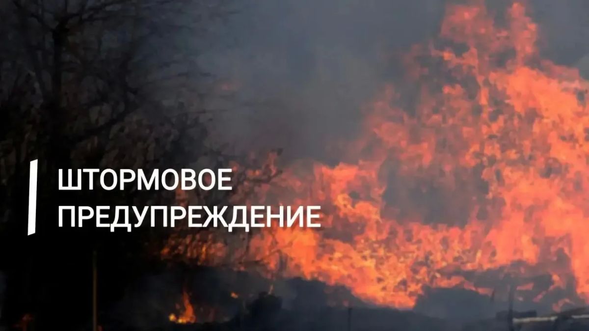 Экстренное предупреждение. 24, 25, 26 и 27 августа в восточных и южных районах Крыма и в г. Севастополь сохранится чрезвычайная пожарная опасность, в западных районах ожидается чрезвычайная пожарная опасность