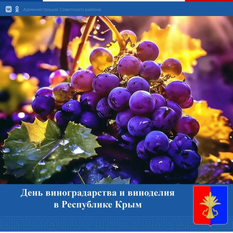 Уважаемые работники и ветераны виноградарско-винодельческой отрасли!