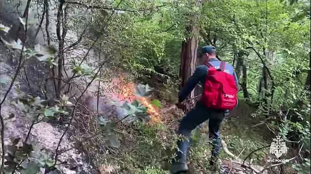 В горах Ялты спасатели продолжают тушить крупный лесной пожар