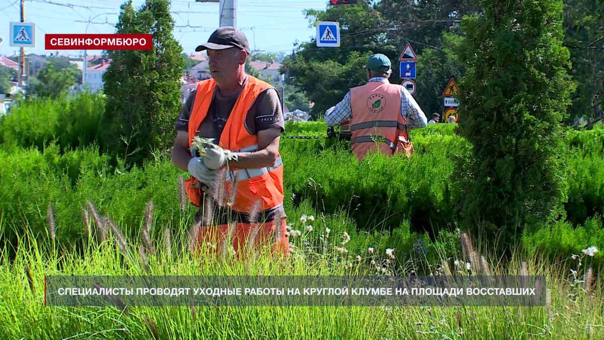 Специалисты ГБУ «Парки и скверы» проводят уходные работы на клумбе на площади Восставших