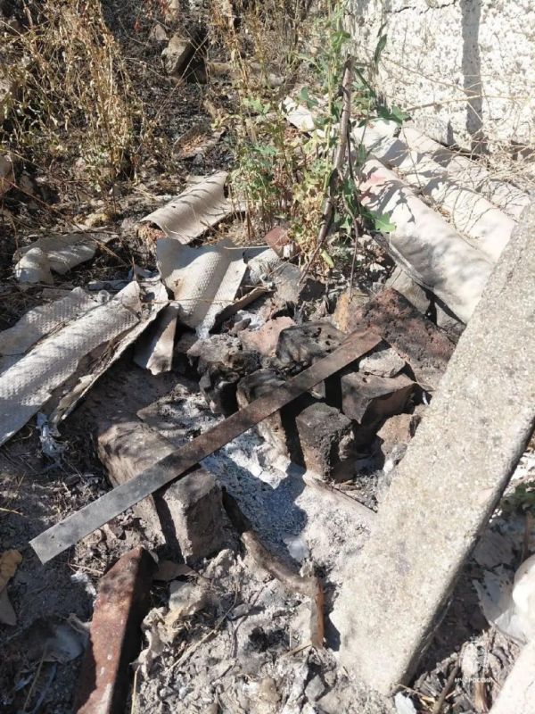 Под Феодосией женщина развела костёр и сожгла 2,4 тысячи «квадратов» сухой травы