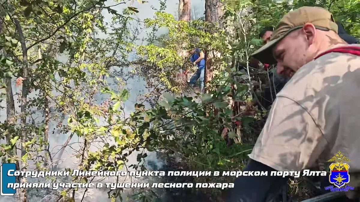 В Крыму в ялтинском микрорайоне Аутка пламенем охвачена труднодоступная горнолесная зона — подъехать на технике невозможно, поэтому огнеборцы штурмуют склоны пешком