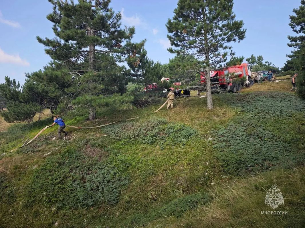 На месте пожара в Ялте организовали оперативный штаб для контроля ситуации На месте пожара в Ялте организовали оперативный штаб для контроля ситуации