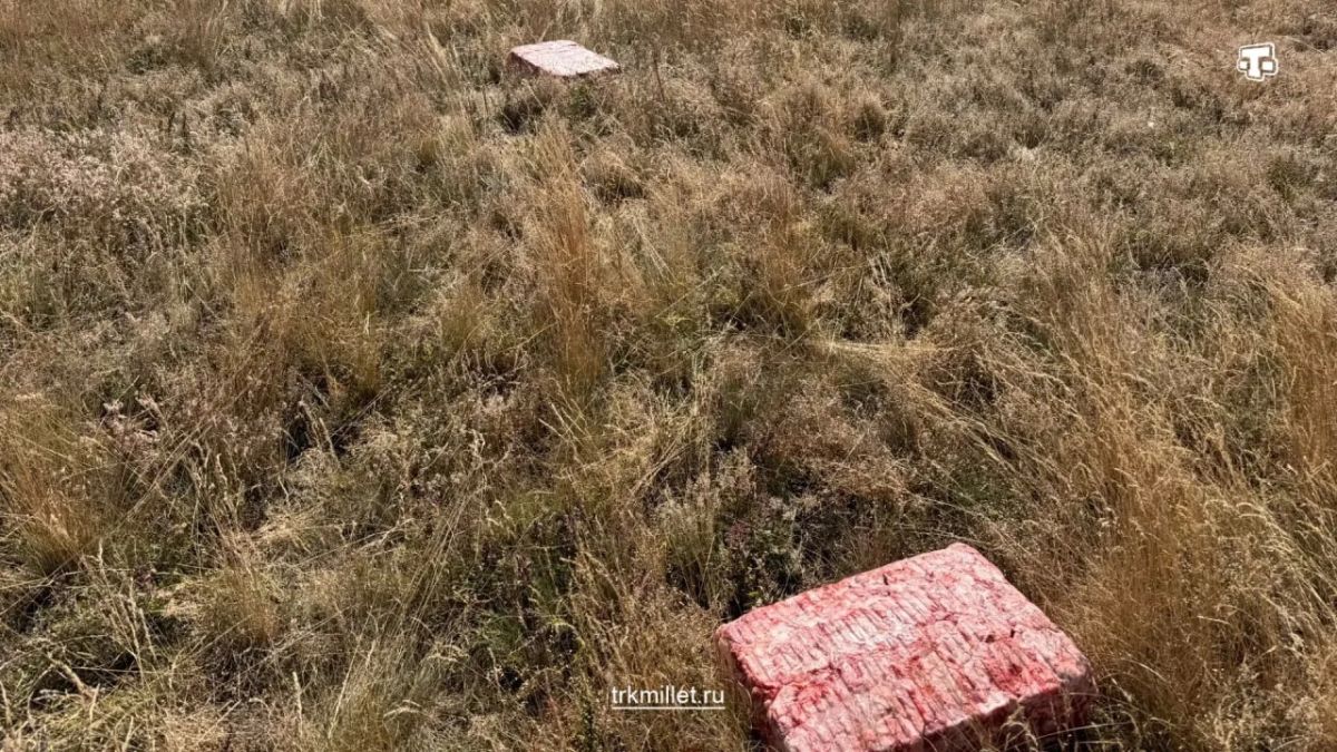 На горе Чатыр-Даг провели подкормку краснокнижных грифов и сипов На горе Чатыр-Даг провели подкормку краснокнижных грифов и сипов