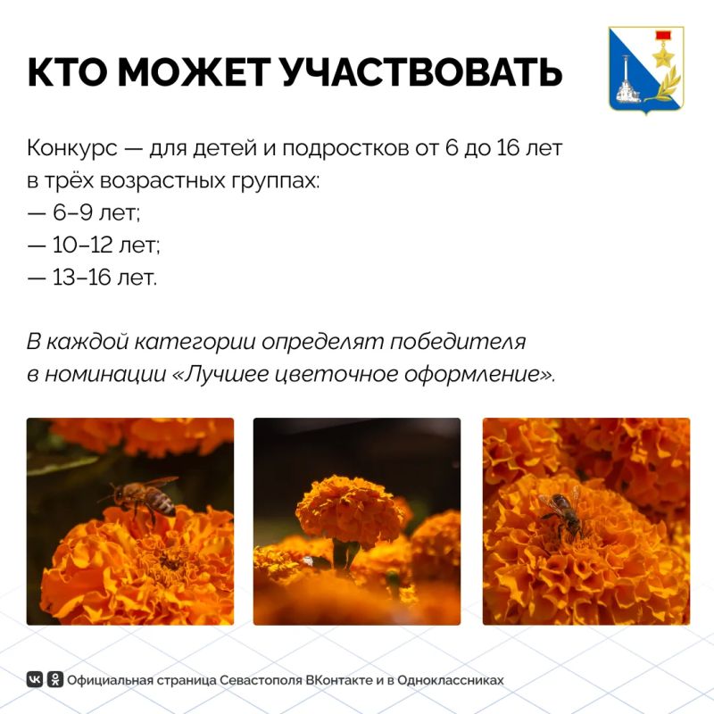 Севастопольские школьники могут создать дизайны для городских клумб Севастопольские школьники могут создать дизайны для городских клумб