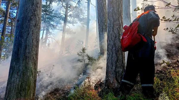 Масштабный лесной пожар в Ялте тушат шестые сутки - что известно