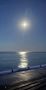 ������ ���� � ����.. ���� ����. Telegram � Max