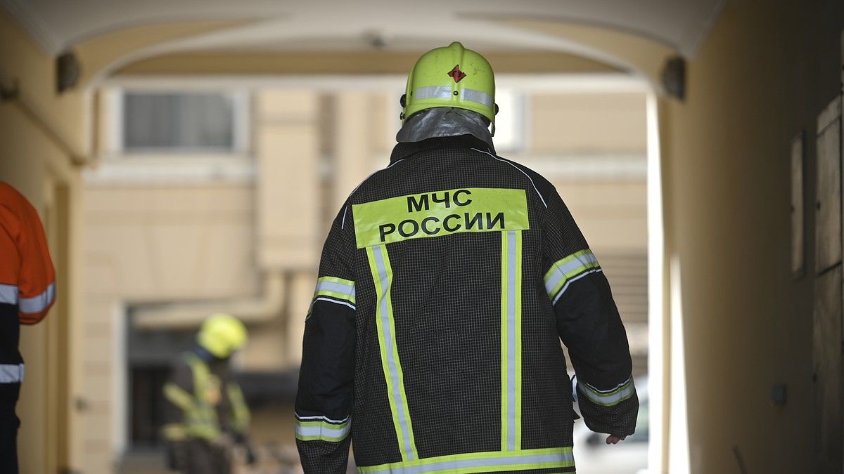 За неделю в Крыму произошло 112 пожаров