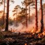 � ���� ���������� ������ ������ �����: � ������ �������������� 4 ����� �������� ���������