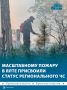 Лесному пожару в Ялте присвоили статус ЧС регионального характера