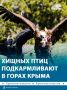 ������ ׸���� ������ � ����������� ����� ���������� � �����
