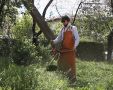 КАРАНТИННЫЙ ОЧАГ. Амброзию полыннолистную уничтожают в Симферополе