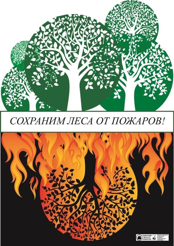 Берегите лес от пожара!