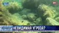 ��������������� ������ ���������� ���������� �������� � ������� ���������� ׸����� ����