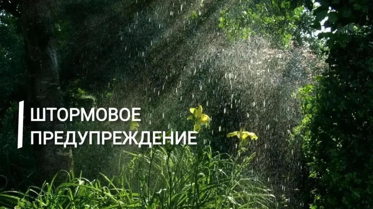 Экстренное предупреждение. Днём 27 августа и в течение суток 28 августа в Крыму ожидаются дожди, в южных и восточных районах сильные, усиление северо-восточного ветра до 25 м/с