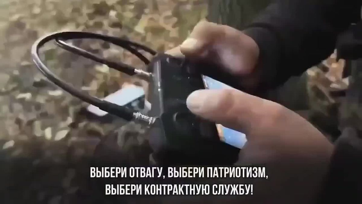 Сильный характер, мужество и честь — вот главные качества защитников Родины!