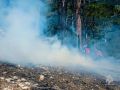 В Ялте продолжают тушить лесной пожар