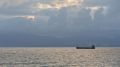 ВСУ поразили более 200 гражданских судов в Черном море в этом году