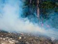 Сильный ветер осложняет тушение крупного лесного пожара в горах Ялты