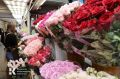 Эксперт рассказала, как подобрать красивый и бюджетный букет для учителя