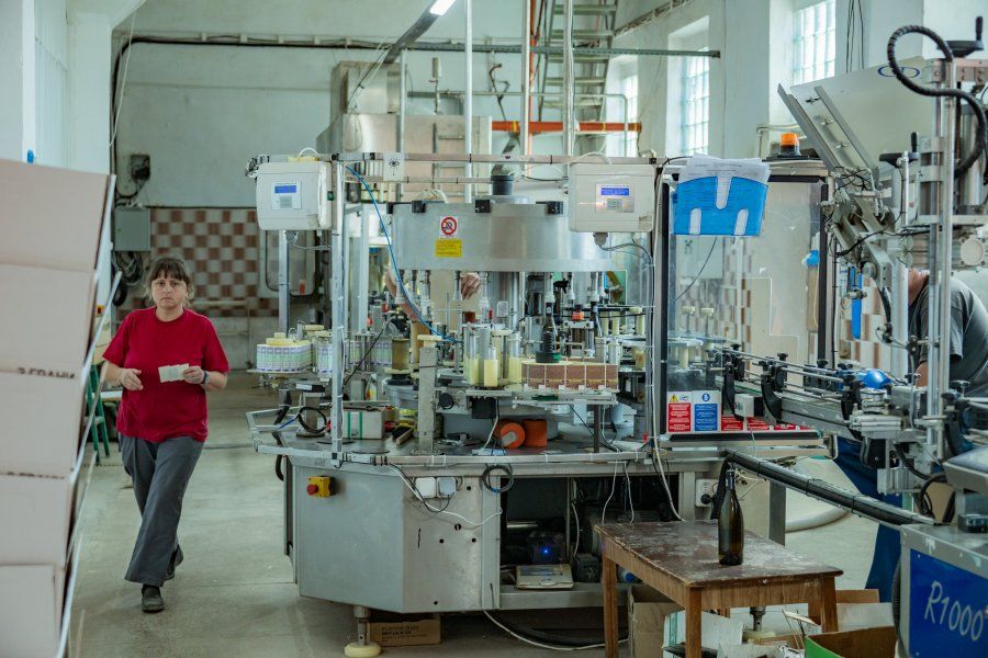 Старейшая винодельня Севастополя закупила новое оборудование и нарастила выпуск премиальных вин благодаря господдержке Старейшая винодельня Севастополя закупила новое оборудование и нарастила выпуск премиальных вин благодаря господдержке