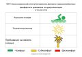 27 августа комфортность Евпаторийского курорта, по данным ГБУЗ РК «Научно-исследовательского института детской курортологии, физиотерапии и медицинской реабилитации», составляет