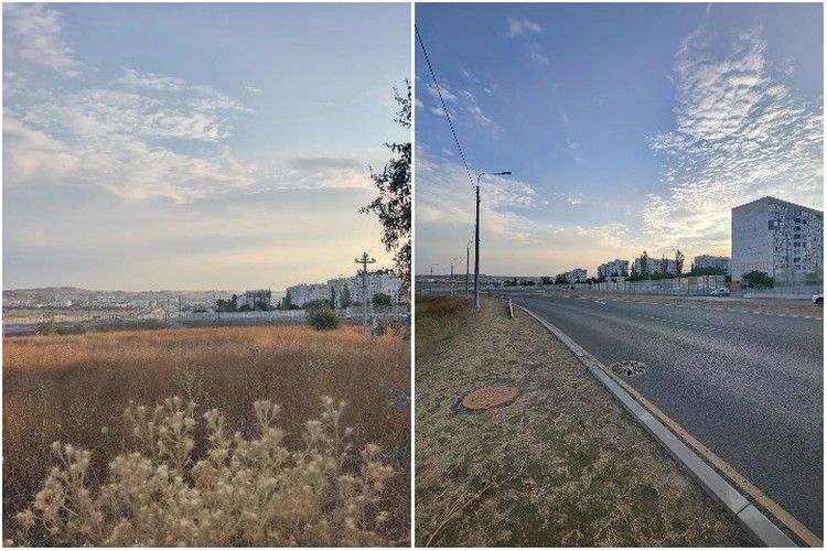Видели похожего на Сильку: в Керчи ищут сбежавшего от московского артиста породистого кота Видели похожего на Сильку: в Керчи ищут сбежавшего от московского артиста породистого кота