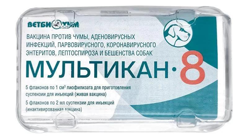 Обращение нескольких серий вакцин «Мультикан» приостановили после сообщений о гибели собак Обращение нескольких серий вакцин «Мультикан» приостановили после сообщений о гибели собак