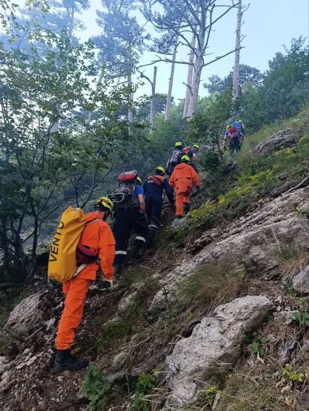 В Ялте продолжается тушение лесного пожара В Ялте продолжается тушение лесного пожара