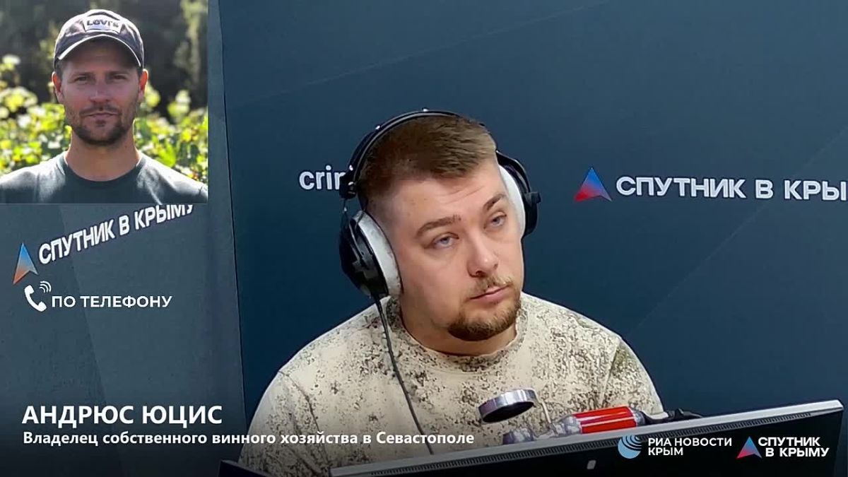 В севастопольском регионе на один квадратный километр разнородность виноградников выше, чем где бы то ни было в мире