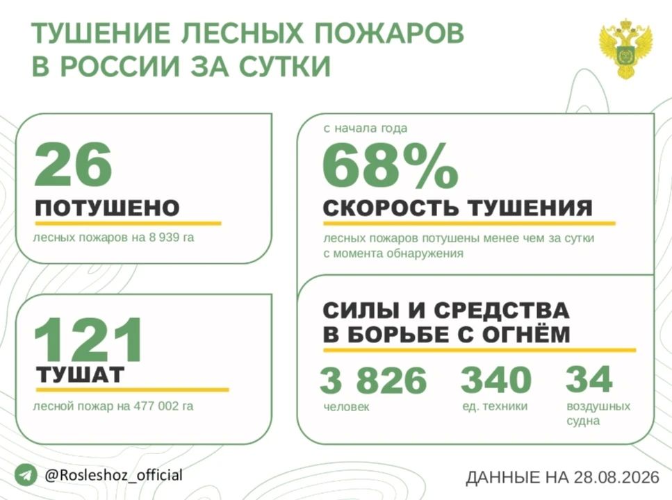 За прошедшие сутки в 11 регионах России потушили 26 лесных пожаров