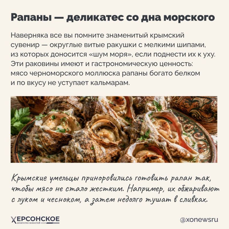 Приехали в Крым — готовьтесь к тому, что южное солнце и морской бриз пробудят ваш аппетит! Приехали в Крым — готовьтесь к тому, что южное солнце и морской бриз пробудят ваш аппетит!